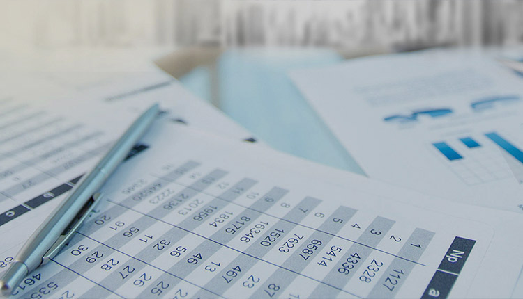 新聞動(dòng)態(tài)